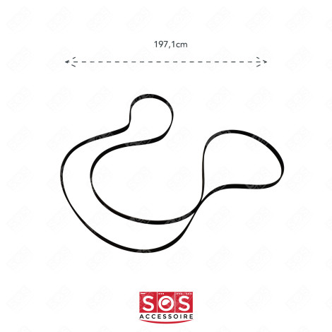 CINGHIA 1971 ASCIUGATRICE - 1366033007, 140056254018