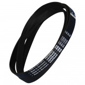 Cinghia 1253J5 MAEL originale