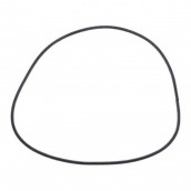 Guarnizione coperchio del contenitore