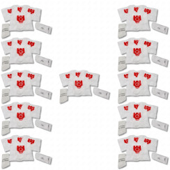 Set di 11 scatole di 4 sacchetti per polvere sintetica FJM compatibili