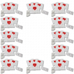 Confezione da 12 scatole di 4 sacchetti antipolvere sintetici FJM compatibili