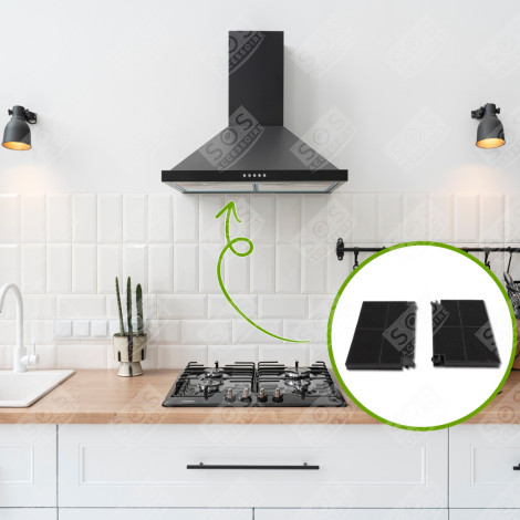 LOTTO 2 FILTRI A CARBONE 5403002 23 CM X 15 CM CAPPA ASPIRANTE - 5403002, EFF55