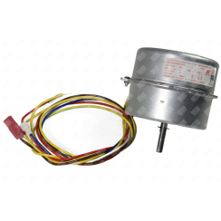Motore (220V)