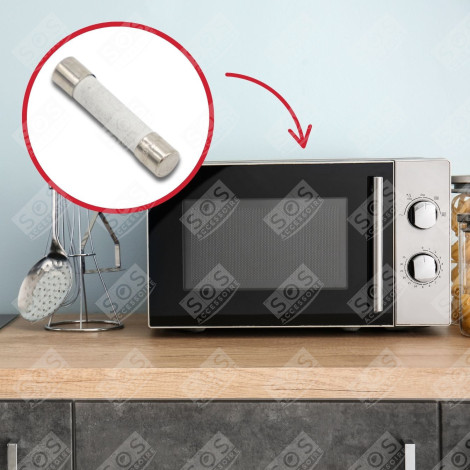 FUSIBILE 12A FORNI A MICROONDE - 75X0120