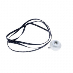 Set cinghia 1965H6 + puleggia originale