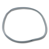 Guarnizione della porta