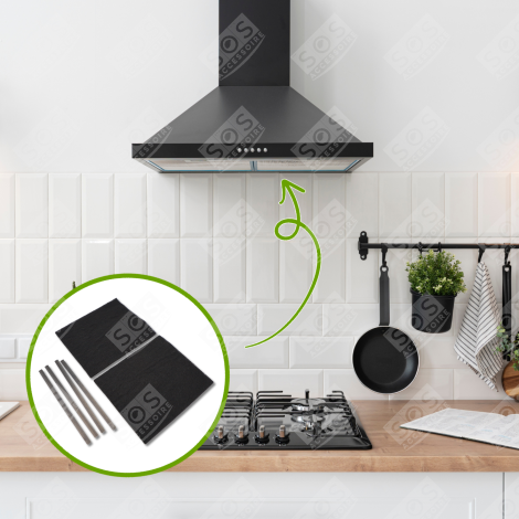 LOTTO DI 2 FILTRI A CARBONE TIPO 31 CAPPA ASPIRANTE - CFW031 484000008787