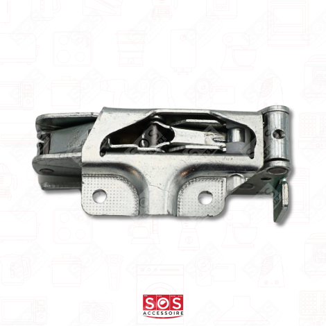 CERNIERE DELLO SPORTELLO FRIGORIFERO, CONGELATORE - 4055504197, 9593760