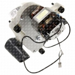 Broyeur du moulin à café