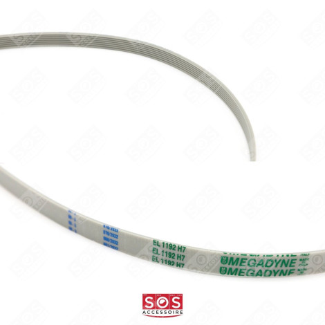 CINGHIA LAVATRICE - 1290775509