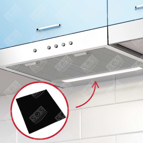 FILTRE CHARBON (À L'UNITÉ)  31 CAPPA ASPIRANTE - 74X4364