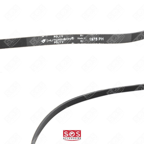 CINGHIA 1975H6 ASCIUGATRICE ASCIUGATRICE - 1975 H 6