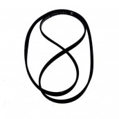 Cinghia 1236J4 che sostituisce la 1242J5 ODALYS