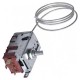 TERMOSTATO FRIGORIFERO, CONGELATORE - 077B6990, 46X1906