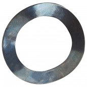 Rondella di bilanciamento 21,8x14 originale