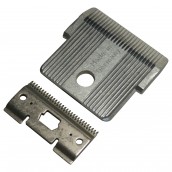 Gruppo lama completa