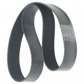 V17cinghia pure power(2)