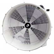 Semi-vaschetta posteriore