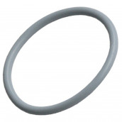 Guarnizione contenitore