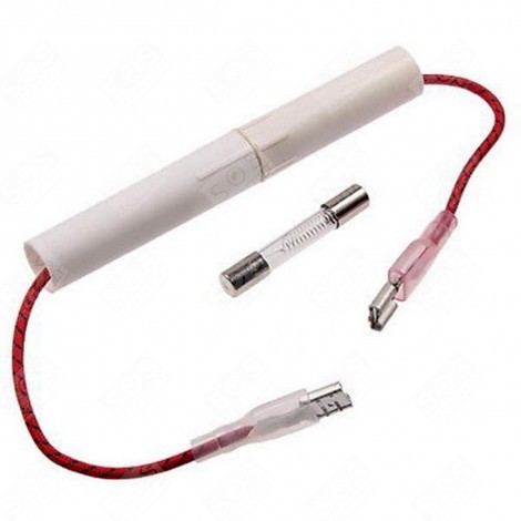 FUSIBILE FORNI A MICROONDE - 6901WRH001B