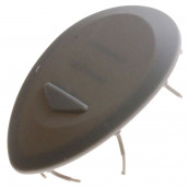 Leva pulsante distributore