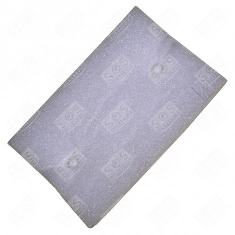 FILTRO MOTORE ORIGINALE ASPIRAPOLVERE - 1096802002