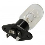 Ampoule