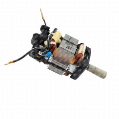 Gruppo completo motore