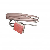 Termostato del forno invertitore