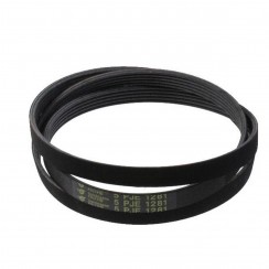 Cinghia di trasmissione