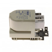 Filtro anti-parassiti