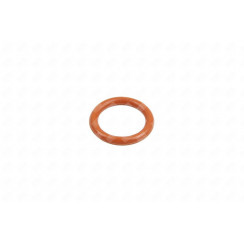 Guarnizione ugello vapore