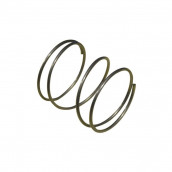 Molla disco pulsante