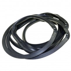 Guarnizione della porta