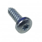 Vite D7981 St 5,5x19-C-Z