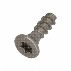 Vite TSP Torx 10 3x10