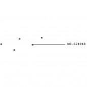 Piede NESPRESSO VERTUO NEXT