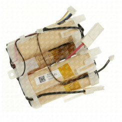 Batteria originale 21,6 V