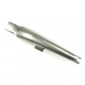 Corpo posteriore grigio