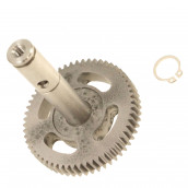 Albero di trasmissione