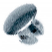 Coperchio porta Silver