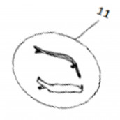 Coperchio grigio originale (codice 11)